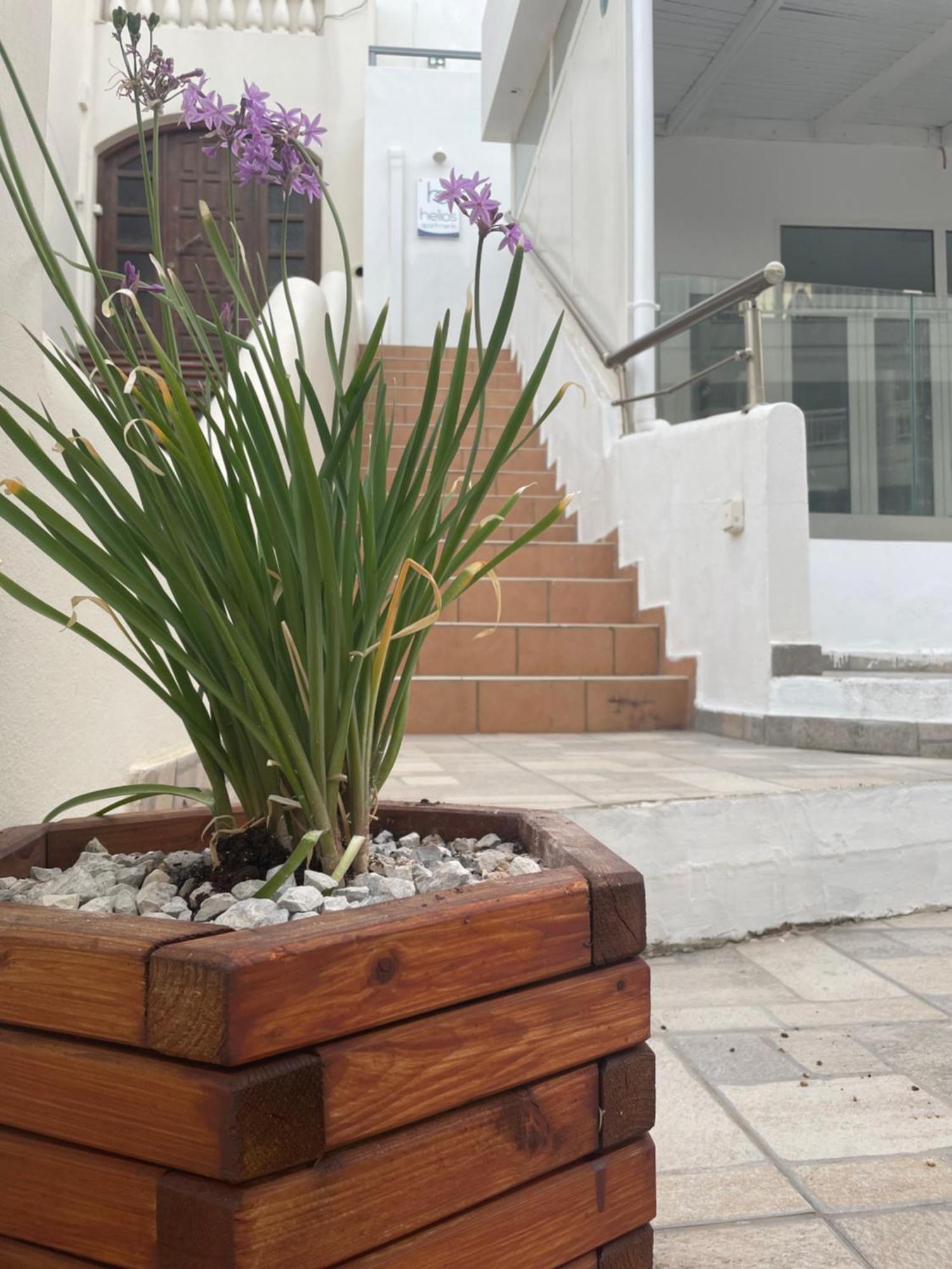 פלאקיאס Helios Apartments מראה חיצוני תמונה